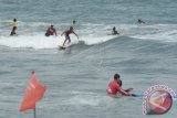 Sejumlah wisatawan nekat berselancar di kawasan berbendera merah atau daerah larangan berenang di Pantai Kuta, Bali, Kamis (9/2). Rambu-rambu tersebut dipasang sebagai tanda kawasan arus laut berbahaya namun sering diabaikan oleh wisatawan. ANTARA FOTO/Wira Suryantala/wdy/17.