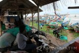 Sejumlah nelayan beristirahat di daratan di Desa Kradenan, Kecamatan Palang, Kabupaten Tuban, Jawa Timur, Kamis (9/2). Nelayan di Pantura Tuban, juga Lamongan, tidak berani melaut, bahkan perahunya dinaikkan ke daratan, karena angin kencang dalam beberapa hari terakhir. Antara Jatim/Foto/Slamet Agus Sudarmojo/zk/17. 