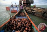 Nelayan membantu mengevakuasi sisa buah kelapa dari kapal karam di Perairan Selat Malaka, kawasan Pantai Lancok, Kecamatan Syamtalira Bayu, Aceh Utara, Aceh, Jumat (10/2). Kapal motor pengangkut kelapa dari Aceh tujuan Riau itu karam setelah mengalami kerusakan mesin dan kebocoran serta dilanda gelombang tinggi pada Kamis (9/2). (ANTARA FOTO/Rahmad)