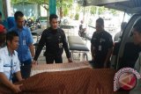 Bermaksud Hendak Menolong, Sugiono Tewas Terjepit Bak Truk 