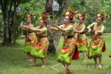 Sejumlah perempuan menampilkan Tari Lahbako di Taman Botani Sukorambi, Jember, Jawa Timur, Minggu (12/2). Tarian Lahbako merupakan tarian tradisional masyarakat Jember yang menggambarkan proses pengolahan tembakau, seperti menanam, memanen dan Jember merupakan salah satu penghasil tembakau terbaik di dunia. Antara Jatim/Seno/zk/17