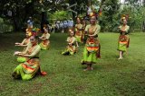 Sejumlah perempuan menampilkan Tari Lahbako di Taman Botani Sukorambi, Jember, Jawa Timur, Minggu (12/2). Tarian Lahbako merupakan tarian tradisional masyarakat Jember yang menggambarkan proses pengolahan tembakau, seperti menanam, memanen dan Jember merupakan salah satu penghasil tembakau terbaik di dunia. Antara Jatim/Seno/zk/17