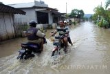 Warga berkendara menerjang banjir di Kecamatan Sutojayan, Blitar, Jawa Timur, Senin (13/2). Banjir yang disebabkan tingginya curah hujan didaerah tersebut sejak Minggu (12/2) malam mengakibatkan 710 rumah di empat desa  terendam, serta sejumlah sekolah terpaksa mengehentikan aktifitas belajar mengajar. Antara Jatim/Irfan Anshori/zk/17