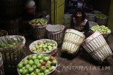 Seorang pengepul buah memisahkan apel lokal jenis manalagi atau biasa disebut sebagai apel malang di Batu, Malang, Jawa Timur, Rabu (15/2). Petani dan pedagang apel malang di kawasan tersebut mengaku keuntungannya berkurang akibat serbuan apel impor di pasaran sejak sebulan terakhir sehingga membuat harga apel lokal turun dari Rp14.000 menjadi Rp10.000 per kilogram. Antara Jatim/Ari Bowo Sucipto/zk/17