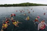 Sejumlah wisatawan saat berenang di sekitar Pulau Menjangan, Bali, Indonesia. Pulau yang terletak di kawasan Bali Barat tersebut menawarkan sejumlah potensi wisata seperti keindahan bawah laut dan keberadaan Patung Sang Hyang Ganesa setinggi 15 meter.  (ANTARA FOTO/Budi Candra Setya/Dok).