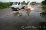 Pengendara mobil melintas di jalur utama menuju kawasan wisata monumen Simpang Lima Gumul (SLG) yang rusak di Desa Ngasem, Kediri, Jawa Timur, Kamis (16/2). Jalur menuju wisata andalah Kediri tersebut membahayakan pengguna jalan karena banyaknya lubang berukuran besar di sejumlah titik akibat sering dilalui kendaraan angkutan barang melebihi ambang batas tonase. Antara Jatim/Prasetia Fauzani/zk/17