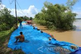 Sejumlah warga di atas tanggul kanan Bengawan Solo di Desa Kanor, Kecamatan Kanor, Kabupaten Bojonegoro, Jawa Timur, Jumat (17/2). Balai Besar Bengawan Solo di Solo, Jawa Tengah, belum bisa memperbaiki tanggul kritis yang rawan jebol itu karena debit Bengawan Solo masih besar. Antara Jatim/Foto/Slamet Agus Sudarmojo/zk/17. 