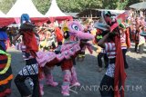 Kesenian Barongsai dan Barong tampil dalam acara Bolo Srewu Jaranan Barong di Pantai Payangan, Ambulu, Jember, Jawa Timur, Sabtu (18/2). Dewan Kesenian Jember bersama grup Jaranan Barong menggelar acara tersebut yang menampilkan kolaborasi kesenian tradisional, seperti Tak-butaan, Can Macanan Kadduk, Barongsai dan Barong untuk melestarikan kebudayaan tradisional sekaligus meramaikan pariwisata alam di Kabupaten Jember.Antara Jatim/Seno/zk/17. 