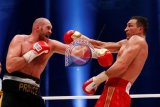 Joshua kalahkan Klitschko untuk rebut tiga gelar kelas berat