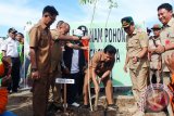 Bupati Tapin HM Arifin Arpan saat melakukan penanaman pohon untuk penghijauan dikawasan pasar baru Keraton Rantau, Selasa (21/2). Foto:Antaranews Kalsel/M.H.Asyari/G.