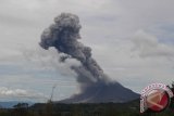 Gunung Sinabung Erupsi Tiga Kali Vulkanologi Berlakukan Zona merah Radius Tiga Meter 