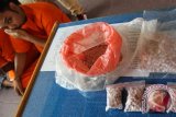 Polisi menunjukkan tersangka pengedar narkoba dengan barang bukti narkoba jenis pil ekstasi sebanyak 854 butir dan satu kantong plastik bubuk psikotrapika (bahan baku ekstasi) seberat 194,5 gram di Mapolresta Pekanbaru, Riau, Selasa (21/2). Ratusan butir pil ekstasi yang ditaksir bernilai Rp1,8 miliar ini diamankan dari tangan tiga orang tersangka pengedar asal Aceh. ANTARA FOTO/Rony Muharrman