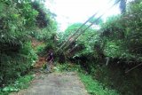 Landslide Damages 13 Homes in Banyumas