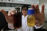 Profesor Lieke menunjukkan limbah minyak goreng bekas (jelantah)(kiri) dan biodisel (kanan) di Universitas Surabaya, Surabaya, Jawa Timur, Senin (27/2). Proses pembuatan biodiesel dari limbah minyak goreng bekas dan sudah dipatenkan tersebut  menggunakan teknologi ozonasi yang melibatkan reaksi ozonolisis serta transesterifikasi dengan hasil biodiesel sebanyak 87,23 persen dari 100 persen limbah minyak goreng bekas. Antara Jatim/Didik Suhartono/zk/17