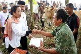 Menteri BUMN Rini M Soemarno (kiri) menyerahkan bantuan sapi pada kegiatan BUMN Hadir Untuk Negeri di City Forest, Sumbersari, Jember, Jawa Timur, Senin (27/2). PT Bank Negara Indonesia (Persero) Tbk melalui program BUMN Hadir Untuk Negeri menyerahkan Kartu Tani ke sejumlah petani dan peternak sapi di Kabupaten Jember dalam bentuk Kredit Usaha Rakyat (KUR). Antara Jatim/Seno/zk/17