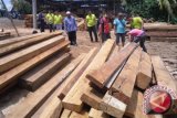 27 meter kubik kayu ilegal diamankan