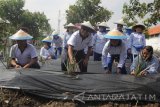 Pangarmatim Laksamana Muda TNI Darwanto (kedua kiri)didampingi isterinya Ina Darwanto (kedua kanan) menanam bibit cabai saat acara Gerakan Tanam Bersama di kawasan Markas Komando Armada RI Kawasan Timur (Koarmatim) di Surabaya, Jawa Timur, Jumat (3/3). Kegiatan penanaman 5.000 bibit tomat, nanas, cabai dan terong tersebut dalam rangka mendukung ketahanan pangan nasional. Antara Jatim/Moch Asim/zk/17