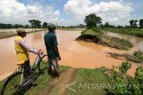 Dua orang petani mengamati tanggul yang jebol di Desa Janti Kapur, Kediri, Jawa Timur, Kamis (2/3). Sejumlah tanggul di daerah tersebut jebol karena debit air sungai Bogokerep meningkat dan mengakibatkan belasan hektar tanaman padi siap panen terendam air. Antara Jatim/Prasetia Fauzani/zk/17