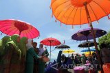 Sejumlah warga berfoto selfie usai peresmian Pantai khusus wanita di Pulau Santen, Banyuwangi, Jawa Timur, Kamis (2/3). Wisata pantai dengan konsep syariah itu disiapkan khusus untuk perempuan yang ingin bermain di Pantai tanpa adanya lawan jenis. Antara Jatim/Budi Candra Setya/zk/17