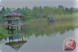 Disbudpar dongkrak pengunjung objek wisata Rantau Kumpai
