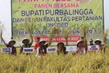 Purbalingga Targetkan Surplus Beras 81.437 Ton 