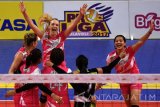 Ekspresi kemenangan dari pebola voli Jakarta Pertamina Energi ketika berhasil memasukkan bola kearah pebola voli Jakarta Eletrik PLN dalam pertandingan Proliga putaran kedua minggu kedua di GOR Kertajaya Surabaya, Jawa Timur, Sabtu (11/3). Jakarta Pertamina Energi menang dengan skor 2-3 (19-25, 26-24, 25-23, 21-25,11-15). Antara Jatim/M Risyal Hidayat/zk/17