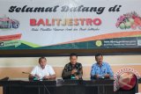 Kunjungan Pemkab Tapin Ke Balai Penelitian Jeruk dan Buah Subtropika (Balitjestro) Kabupaten Batu Provinsi Jawa Timur yang langsung dipimpin oleh Wakil Bupati H. Sufian Noor. Foto:Antaranews Kalsel/M.H.Asyari/G.