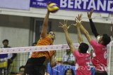 Pebolavoli putra Jakarta BNI Taplus, Domotor Menzaros (kiri) melakukan smes yang berusaha ditahan pebolavoli Jakarta Pertamina Energi, Doni Haryono (kanan) dan Antho Bertiyawan (tengah) dalam pertandingan Proliga 2017 Putaran Kedua Minggu Ketiga di GOR Ken Arok, Malang, Jatim, Sabtu (18/3). Tim voli putra Jakarta BNI Taplus menang dengan skor 3-1. Antara Jatim/Ari Bowo Sucipto/zk/17. 