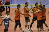  Pebolavoli putra Jakarta BNI Taplus melakukan selebrasi usai mengalahkan tim voli putra Jakarta Pertamina Energi dalam pertandingan Proliga 2017 Putaran Kedua Minggu Ketiga di GOR Ken Arok, Malang, Jatim, Sabtu (18/3). Tim voli putra Jakarta BNI Taplus menang dengan skor 3-1. Antara Jatim/Ari Bowo Sucipto/zk/17. 