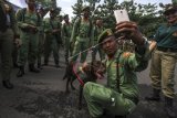 Anggota Satuan Perlindungan Masyarakat (Satlinmas) berswafoto dengan anjing K-9 milik Satuan Polisi Pamong Praja (Satpol PP) seusai upacara HUT Satpol PP & Satlinmas di halaman parkir Stadion Manahan Solo, Jawa Tengah, Selasa (21/3). Kegiatan bertajuk Merawat Kebhinekaan Demi Indonesia tersebut juga dimeriahkan berbagai atraksi bela diri. ANTARA FOTO/Maulana Surya/pd/17.