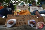 Solidaritas Untuk Patmi