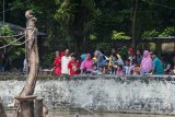 Pengunjung menyaksikan puluhan Monyet Ekor Panjang (Macaca fascicularis) di Kebun Binatang Surabaya, Surabaya, Jawa Timur, Selasa (28/3). Warga Surabaya atau pun dari daerah lainnya memanfaatkan liburan hari raya Nyepi di kebun binatang tersebut. Antara Jatim/Naufal Ammar/zk/17.