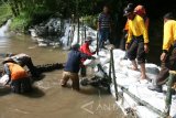 Sejumlah warga dan anggota kepolisian bergotong royong memperbaiki tanggul yang jebol menggunakan karung berisi pasir di Desa Mejono, Kediri, Jawa Timur, Selasa (4/4). Tanggul sungai Recosolo tersebut jebol di dua titik karena diterjang banjir yang mengakibatkan lahan pertanian di daerah sekitar rusak parah. Antara Jatim/Prasetia Fauzani/zk/17