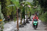 Seorang warga melintas di jalan yang ditanami pohon pisan oleh warga di Pesanggaran, Banyuwangi, Jawa Timur, Selasa (4/4). Aksi menanam pohon pisang itu sebagai bentuk protes dan kekesalan warga karena jalan rusak yang tidak kunjung diperbaiki akibat sering dilewati kendaraan berat yang tidak sesuai dengan klas jalan. Antara Jatim/Budi Candra Setya/zk/17.