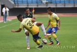 Pesepak bola Persebaya Surabaya Syaifuddin (tengah) dihadang dua pesepak bola Persegres Gresik United Jecky Arisandi (kiri) dan Ghufroni Al Maruf (kanan) dalam pertandingan uji coba di Gelora Bung Tomo (GBT) Surabaya, Jawa Timur, Kamis (6/4). Pertandingan yang dimenangkan Persebaya Surabaya dengan skor 1-0 tersebut sebagai persiapan kedua kesebelasan sebelum menghadapi kompetisi resmi PSSI. Antara Jatim/M Risyal Hidayat/zk/17