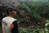 Petugas dari Badan Penanggulangan Bencana Daerah (BPBD) memeriksa lokasi longsor di Desa Surat, Kecamatan Mojo, Kediri, Jawa Timur, Jumat (7/4). Longsor pasca hujan deras di wilayah lereng gunung Wilis tersebut mengakibatkan enam rumah warga rusak parah. Antara Jatim/Prasetia Fauzani/zk/17