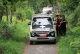 Sejumlah mobil ambulance melintas mengangkut jenazah terduga teroris di jalan di Desa Suwalan, Kecamatan Jenu, Kabupaten Tuban, Jawa Timur, Sabtu (8/4). Dalam keterangannya Kapolda Jawa Timur, Irjen Polisi Anas Yusuf menyebutkan enam terduga teroris Jamaah Ansharut Daulah (JAD) tewas dalam baku tembak, satu lainnya tertangkap, tetapi mengalami gangguan jiwa. Antara Jatim/Aguk Sudarmojo/zk/17. 