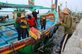 Lamongan - Sejumlah nelayan menurunkan ikan di Pelabuhan Brondong di Desa Belimbing, Kecamatan Paciran, Kabupaten Lamongan, Jawa Timur, Minggu (9/4). Data dari Kementerian Kelautan dan Perikanan menyebutkan nelayan di Indonesia sempat mencapai 1,6 juta rumah tangga, tetapi terus menurun menjadi sekitar 800 ribu rumah tangga, karena berkurangnya hasil tangkapan ikan laut. Antara Jatim/Foto/Slamet Agus Sudarmojo.  