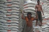 Bulog Kedu serap 3.205 ton beras