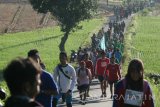 Peserta Lintas Alam Semen Besuki (Laski) XII mendaki lereng gunung Wilis di Desa Puhsarang, Kediri, Jawa Timur, Minggu (16/4). Kegiatan jalan kaki dari kecamatan Semen hingga Besuki sejauh 25 km yang diikuti oleh sedikitnya 13.000 peserta tersebut digelar dalam rangka hari jadi ke-1213 Kabupaten Kediri. Antara Jatim/Prasetia Fauzani/zk/17