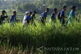 Peserta Lintas Alam Semen Besuki (Laski) XII mendaki lereng gunung Wilis di Desa Puhsarang, Kediri, Jawa Timur, Minggu (16/4). Kegiatan jalan kaki dari kecamatan Semen hingga Besuki sejauh 25 km yang diikuti oleh sedikitnya 13.000 peserta tersebut digelar dalam rangka hari jadi ke-1213 Kabupaten Kediri. Antara Jatim/Prasetia Fauzani/zk/17