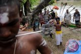 Etnis India Tamil yang beragama Hindu mencucuk pipi dan badan dengan panah besi pada perayaan hari Thaipusam di Banda Aceh, Aceh, Minggu (16/4). Thaipusam dirayakan setiap bulan kesepuluh dalam kalender Tamil oleh kaum India Tamil termasuk di provinsi Aceh yang bertujuan membayar nazar umat Hindu atas permintaan yang dihajatkan dan dikabulkan oleh Dewa Muruga. ANTARA FOTO/Irwansyah Putra/wdy/17.