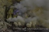 Api biru (blue fire) terlihat di dasar kawah Gunung Ijen di banyuwangi, Jawa Timur, Minggu (16/4). Fenomena api biru yang menjadi daya tarik wisatawan lokal dan mancanegara tersebut, hanya ada di Indonesia dan Islandia, yang terjadi karena terbakarnya gas metana akibat rembesan panas bumi di Kawah Ijen. Antara Jatim/Budi Candra Setya/zk/17. 