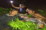 Petani ngaku sebelum ditangkap pernah panen ganja