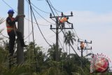 Sejumlah pekerja mengganti kabel listrik di Desa Suak Timah, Aceh Barat, Aceh, Kamis (20/4). Penggantian kabel baru tersebut dilakukan pihak PLN guna mencegah gangguan sekaligus menjamin kelancaran pasokan listrik ke beberapa kabupaten/kota di Aceh. (ANTARA FOTO/Syifa Yulinnas)