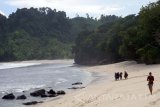 Wisatawan menikmati keindahan panorama wisata alam yang masih asri di Pantai Ngalur, Tulungagung, Jawa Timur, Kamis (27/4). Pantai Ngalur yang berpasir putih dan dihiasi terumbu karang cukup luas di balik kawasan lindung daerah itu merupakan destinasi wisata yang mulai diminati wisatawan lokal maupun komunitas backpacker asing. Antara Jatim/Destyan Sujarwoko/zk/17