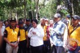 Menteri Kehutanan dan Lingkungan Hidup RI Siti Nurbaya Bakar mengunjungi dua desa di Kabupaten Tanah Laut, Kalimantan Selatan, Kamis (4/5). Foto:Antaranews Kalsel/Arianto/G.