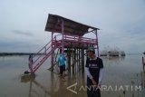 Pengunjung menikmati panorama pantai dari atas gardu di Desa Lembung, Galis, Pamekasan, Jawa Timur, Senin (7/5).  Gardu yang dibuat aktivis lingkungan itu guna memberikan kenyamanan kepada pengunjung ketika menikmati panorama pantai dan hutan mangrove, sehingga nantinya kawasan tersebut menjadi tujuan wisata mangrove dan pantai. Antara Jatim/Saiful Bahri/zk/17