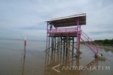 Pengunjung menikmati panorama pantai dari atas gardu di Desa Lembung, Galis, Pamekasan, Jawa Timur, Senin (7/5).  Gardu yang dibuat aktivis lingkungan itu guna memberikan kenyamanan kepada pengunjung ketika menikmati panorama pantai dan hutan mangrove, sehingga nantinya kawasan tersebut menjadi tujuan wisata mangrove dan pantai. Antara Jatim/Saiful Bahri/zk/17