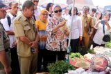 Kepala Badan Pengawas Obat dan Makanan (BPOM) Penny K Lukito (tengah), melakukan inspeksi mendadak ke Pasar Mardika, Ambon, Maluku, Senin (8/5). Sidak itu dilakukan untuk mengecek pelaksanaan program pasar aman dari bahan berbahaya di pasar-pasar tradisional. ANTARAFOTO/izaac mulyawan/nz/17.